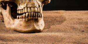 23:42
متفرقات
العثور على بكتيريا تسوس أسنان في أضراس عمرها 4000 عام