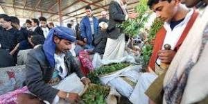 الحوثيون يضربون سمعة ”القات” المحلي وإنهيار في اسعاره (تفاصيل)