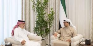 نائب رئيس الإمارات يبحث مع سفير المملكة سبل تعزيز التعاون