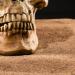 23:42
متفرقات
العثور على بكتيريا تسوس أسنان في أضراس عمرها 4000 عام